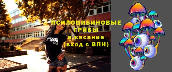 PSILOCYBIN Балабаново