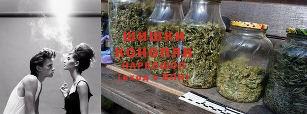 PSILOCYBIN Балабаново