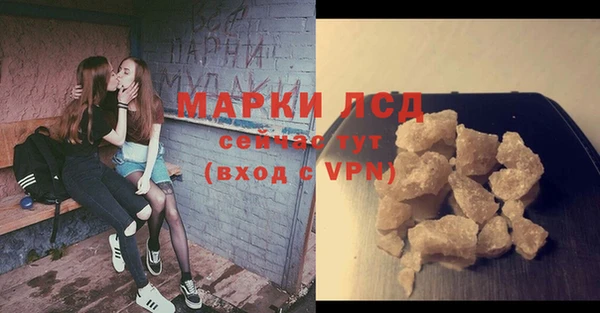 PSILOCYBIN Балабаново