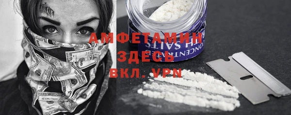 PSILOCYBIN Балабаново
