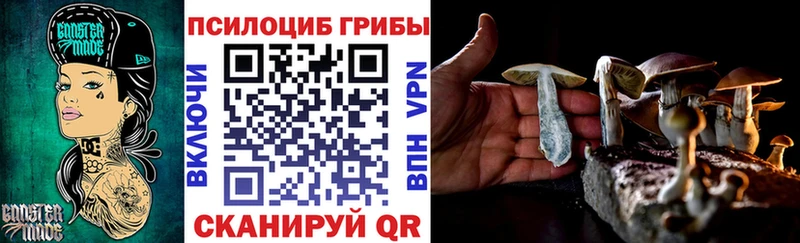 закладки  Тара  Галлюциногенные грибы прущие грибы 